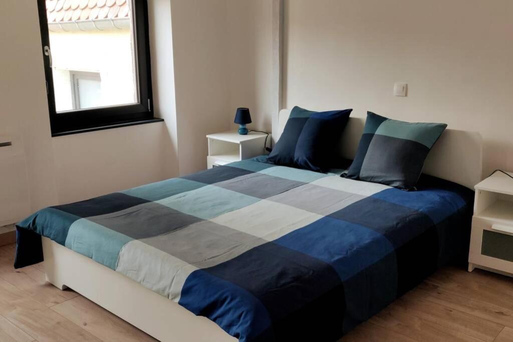 Le Blue, appartement de standing en hyper-centre Sarreguemines Extérieur photo